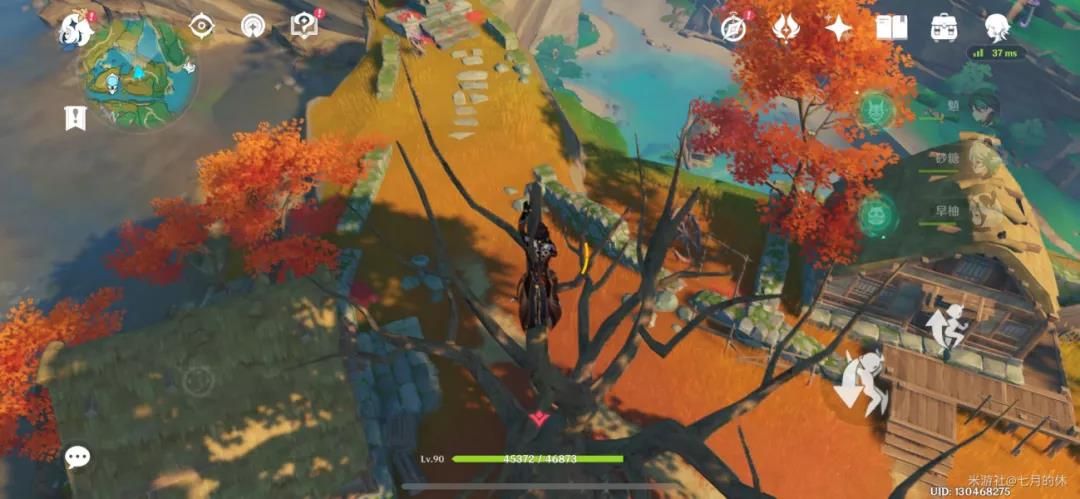 原神躲猫猫隐藏位置推荐：风行迷踪躲藏点一览[多图]图片5