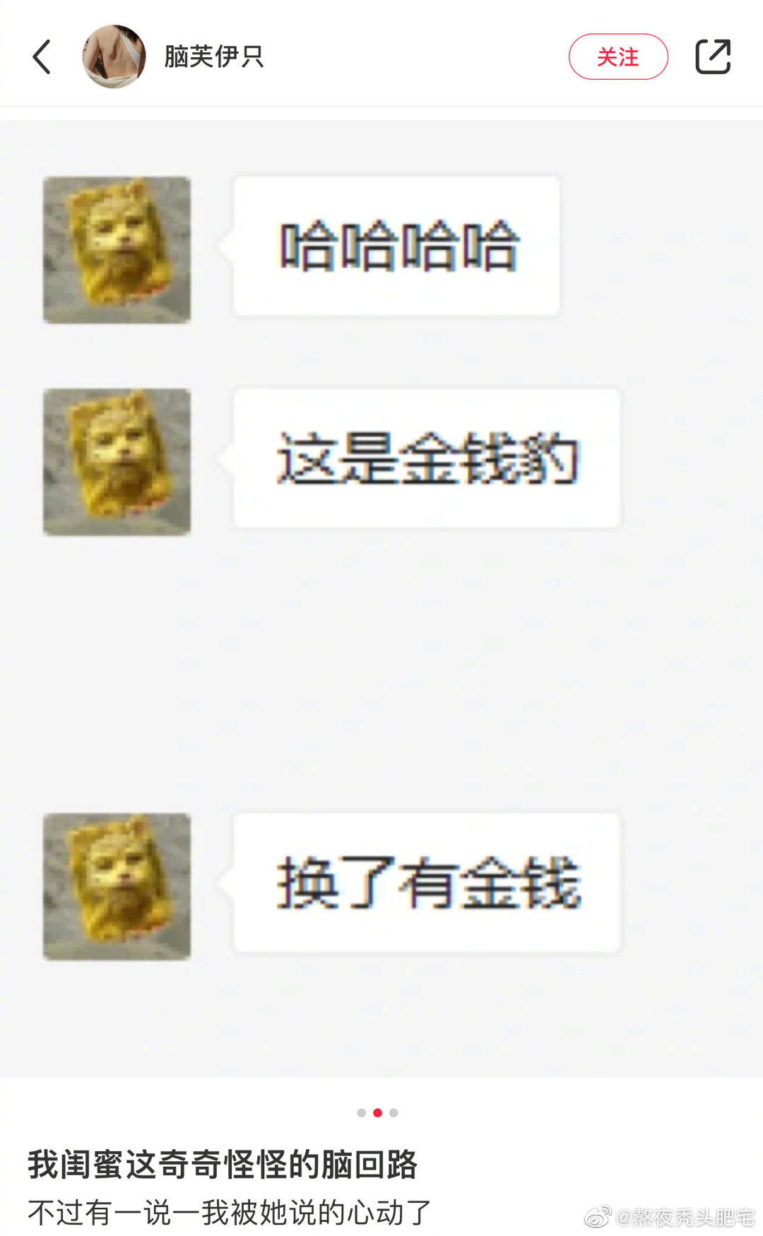 金钱豹头像是什么梗