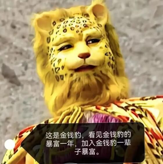 抖音金钱豹头像图片大全：金钱豹表情包高清图片[多图]图片2