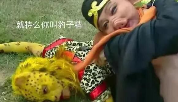 抖音金钱豹头像图片大全：金钱豹表情包高清图片[多图]图片8