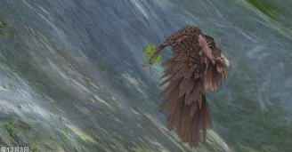 妄想山海秃鹫在哪