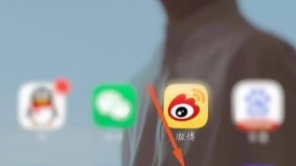 vivos12proô÷ؼ