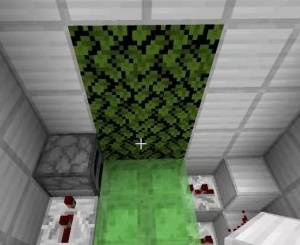 1645162379725085.png image.png