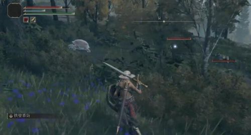 艾尔登法环魔法塔三只睿智兽在哪?魔法塔三只睿智兽位置介绍