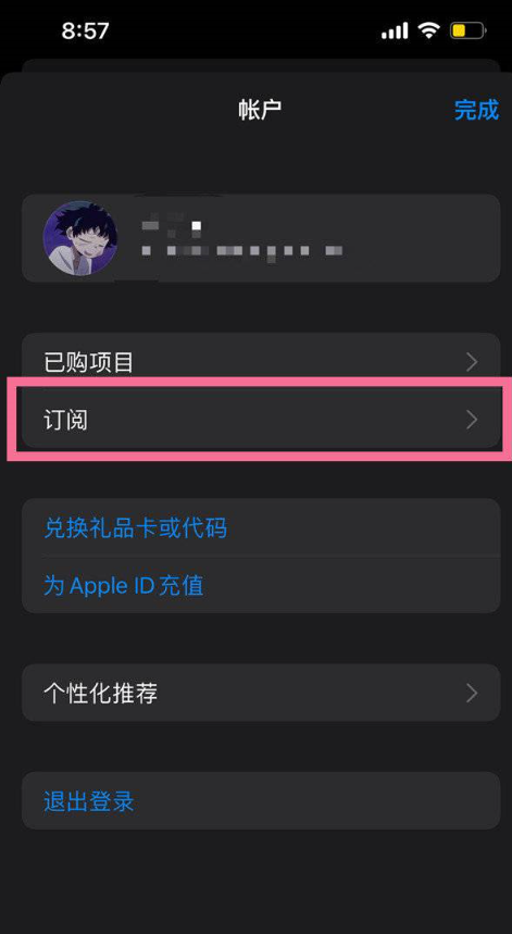 苹果手机怎么取消自动续费