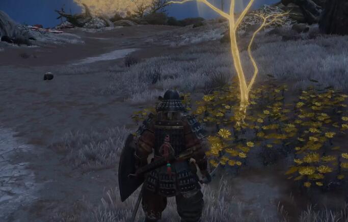 艾尔登法环黄金种子位置大全：全地图黄金种子位置分布一览[多图]图片2