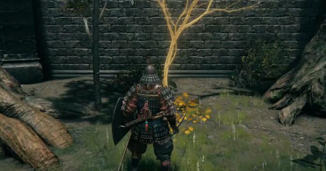 艾尔登法环黄金种子位置大全：全地图黄金种子位置分布一览[多图]图片8