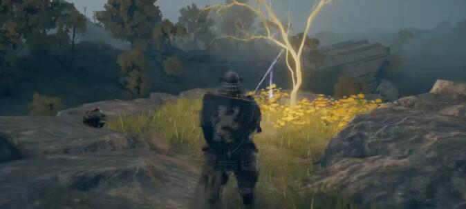 艾尔登法环黄金种子位置大全：全地图黄金种子位置分布一览[多图]图片10