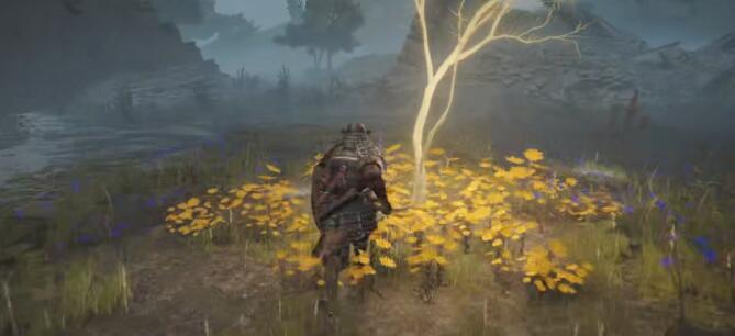 艾尔登法环黄金种子位置大全：全地图黄金种子位置分布一览[多图]图片19