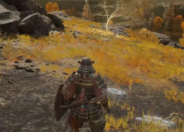 艾尔登法环黄金种子位置大全：全地图黄金种子位置分布一览[多图]图片21