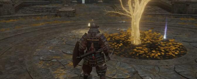 艾尔登法环黄金种子位置大全：全地图黄金种子位置分布一览[多图]图片25