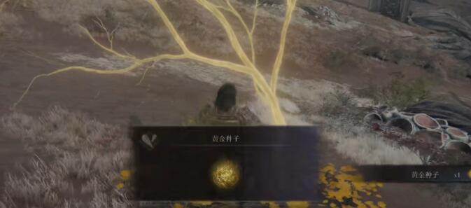 艾尔登法环黄金种子位置大全：全地图黄金种子位置分布一览[多图]图片27