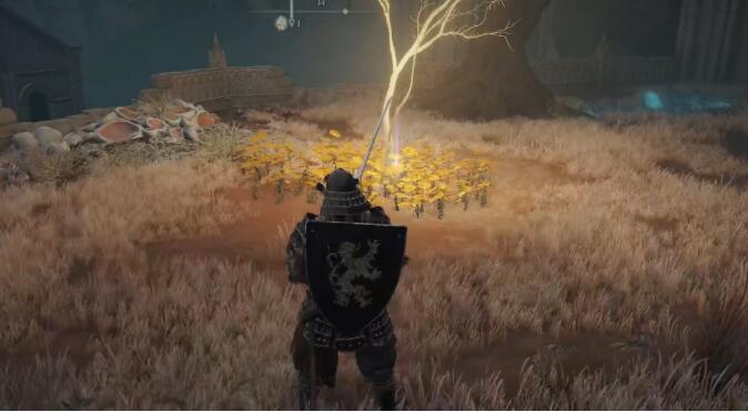 艾尔登法环黄金种子位置大全：全地图黄金种子位置分布一览[多图]图片4