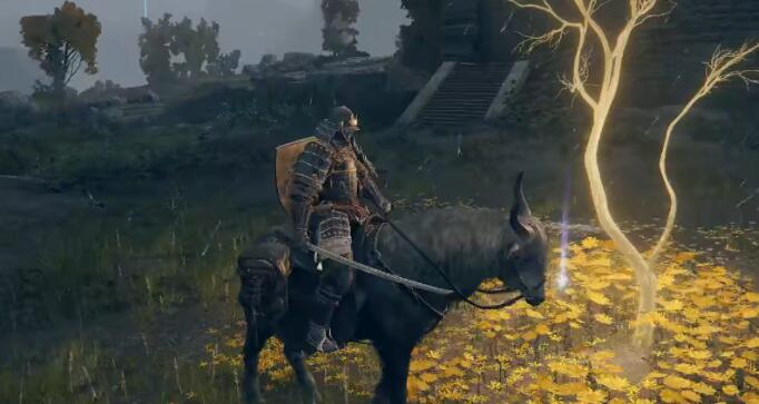 艾尔登法环黄金种子位置大全：全地图黄金种子位置分布一览[多图]图片6