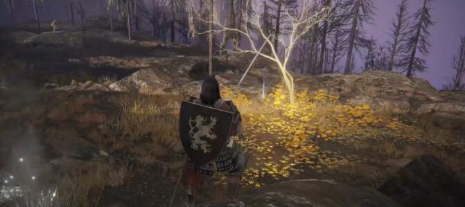 艾尔登法环黄金种子位置大全：全地图黄金种子位置分布一览[多图]图片14