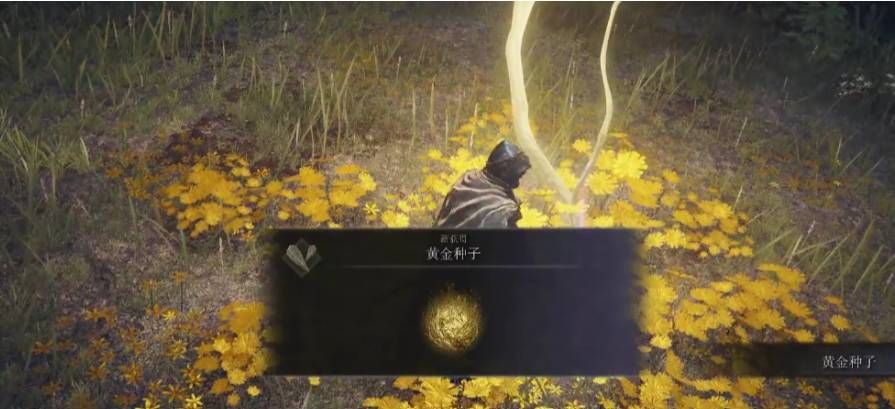艾尔登法环黄金种子怎么用？黄金种子使用方法[多图]图片2