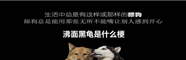 终极舔狗头像沸面黑龟是什么梗