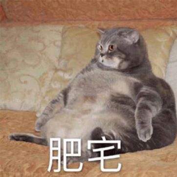 《抖音》我胖凑的一天是什么梗