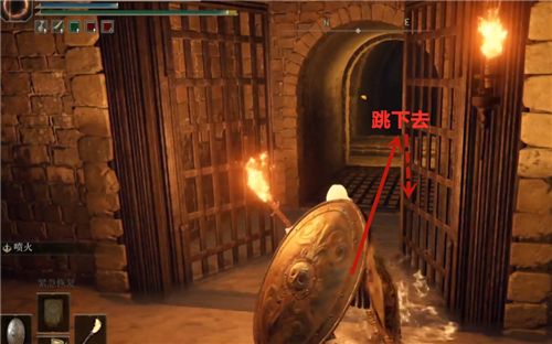 艾尔登法环王城下水道在哪？王城下水道路线位置图文一览[多图]图片9