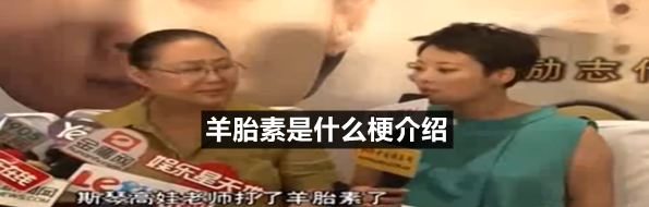 羊胎素是什么梗
