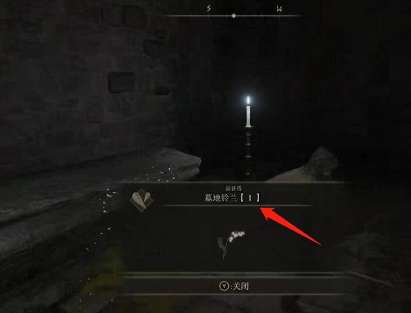 艾尔登法环墓地铃兰在哪里刷？墓地铃兰位置刷新点一览[多图]图片3