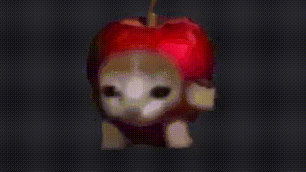 抖音水果猫表情包大全动图