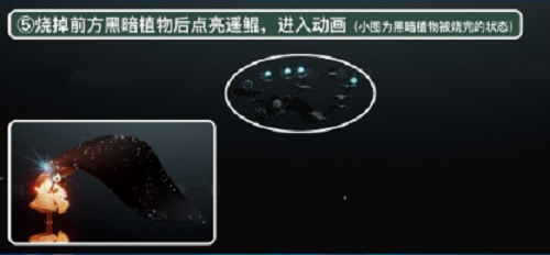 光遇潜海季第五个任务攻略