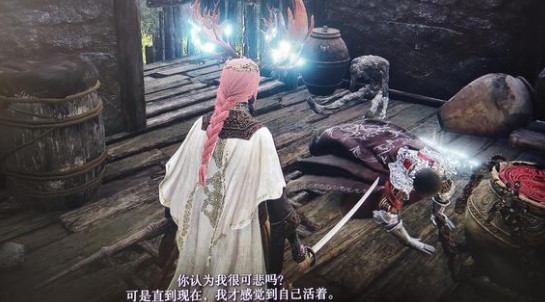 艾尔登法环双头剑和尸山血海强度对比