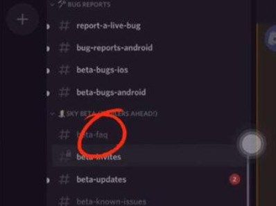 光遇测试服申请入口2022：光遇白鸟版下载教程[多图]图片1