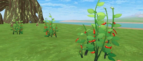 创造与魔法辣椒位置图在什么地方？