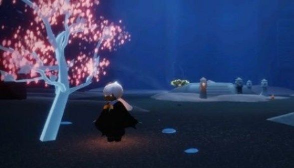 光遇禁阁赏花任务怎么做？禁阁赏花任务完成攻略[多图]图片2