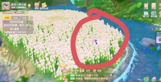 摩尔庄园蝴蝶怎么抓？蝴蝶捕捉方法介绍[多图]图片4