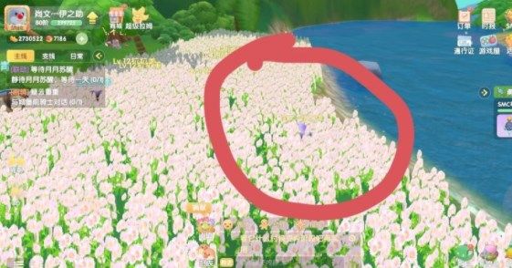 摩尔庄园蝴蝶怎么抓？蝴蝶捕捉方法介绍[多图]图片5