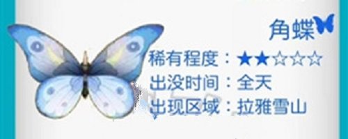 摩尔庄园角蝶在哪里？