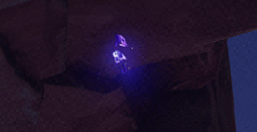 原神四张稻妻动物照片 稻妻特色动物在哪里拍照[多图]图片4