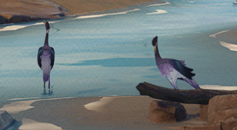 原神四张稻妻动物照片 稻妻特色动物在哪里拍照[多图]图片5