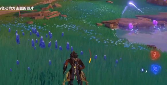 原神四张稻妻动物照片 稻妻特色动物在哪里拍照[多图]图片17