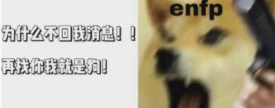enfp是什么梗？