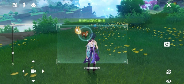 原神稻妻特色动物位置大全：稻妻特色动物画片拍照位置攻略[多图]图片2