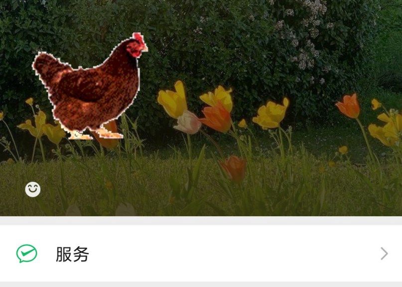 微信状态怎么养猪 微信状态养宠物怎么设置[多图]图片1