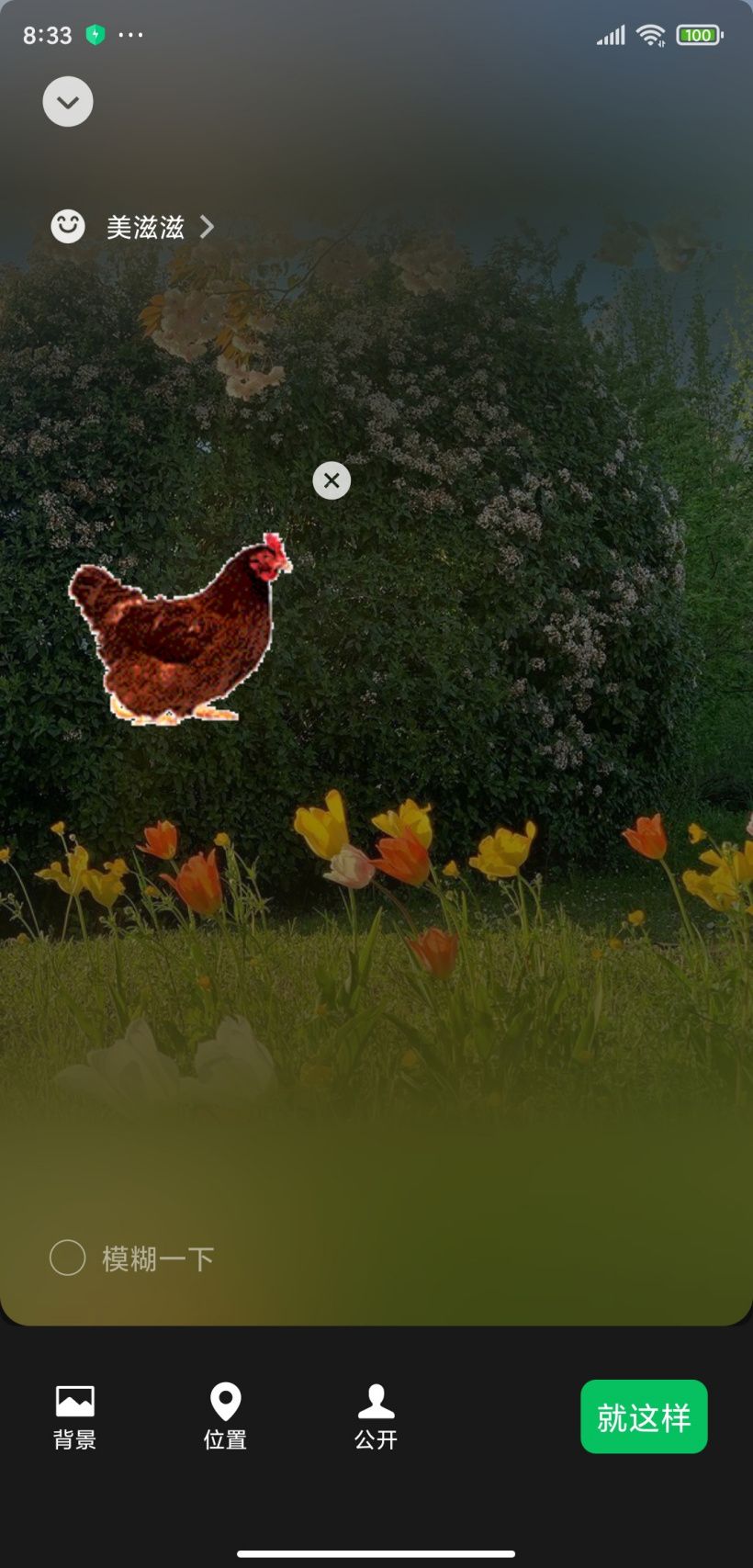 微信状态怎么养猪 微信状态养宠物怎么设置[多图]图片9