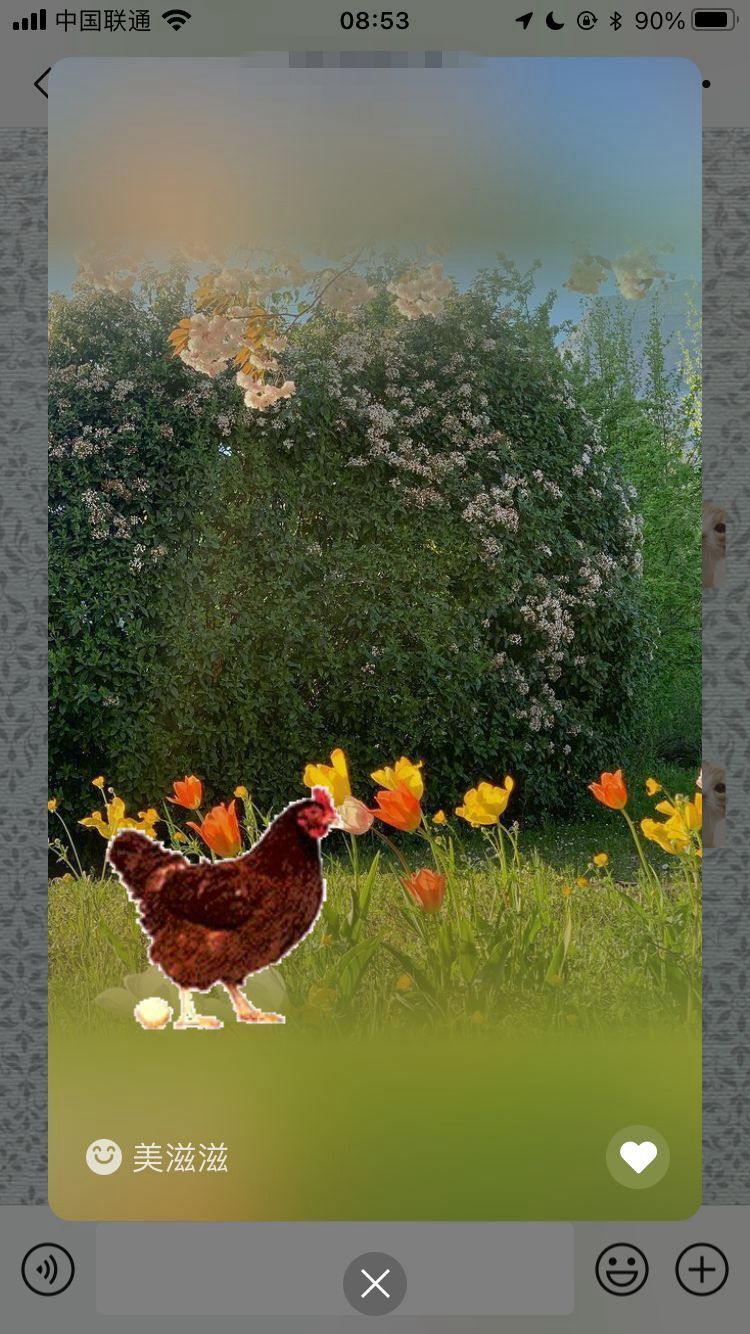 微信状态怎么养猪 微信状态养宠物怎么设置[多图]图片10