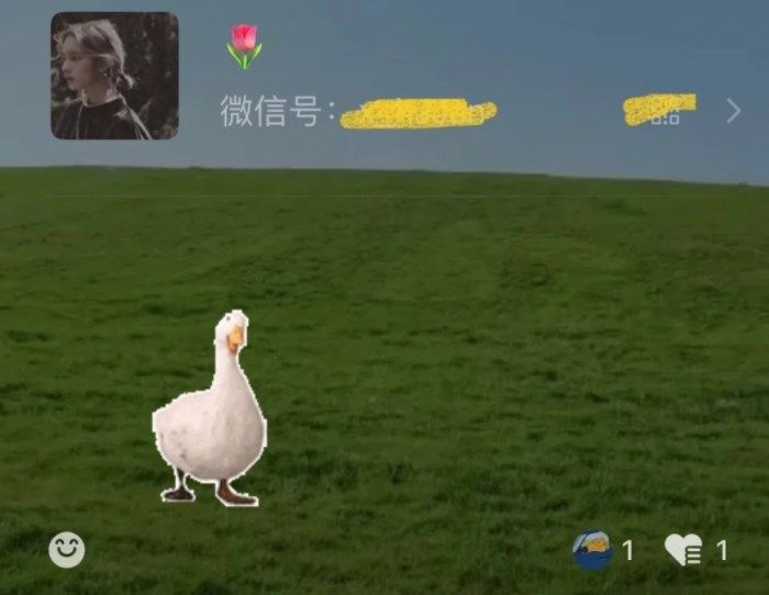 微信农场养大鹅的背景图怎么设置？