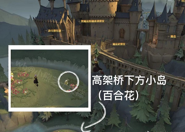 哈利波特魔法觉醒4.14隐藏彩蛋在哪里？