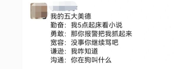 我的五大美德是什么梗？