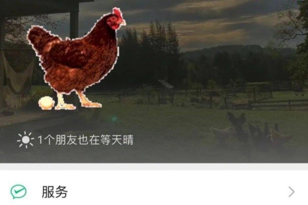 微信农场动物动图表情包有哪些？