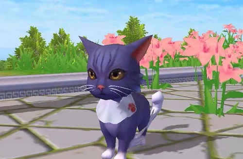 创造与魔法贝雅新猫怎么获得？