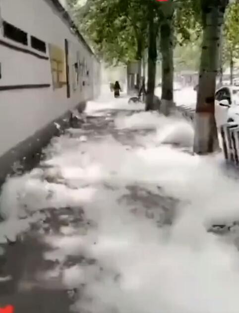 光头强啊你在哪是什么梗