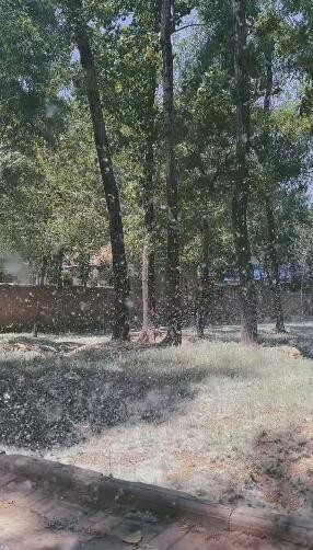 张万森我刺挠是什么梗