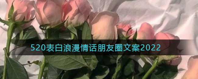 520表白情话有哪些